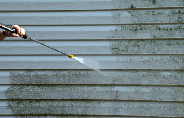 Best Mold Damage Repair  in Orange Cove, CA