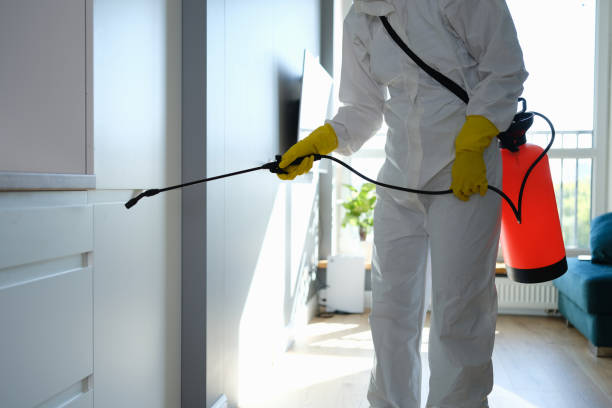Trusted Orange Cove, CA Mold Removal Experts