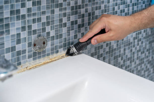 Best Commercial Mold Removal  in Orange Cove, CA