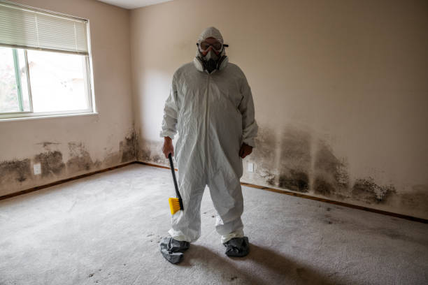 Best Certified Mold Removal  in Orange Cove, CA