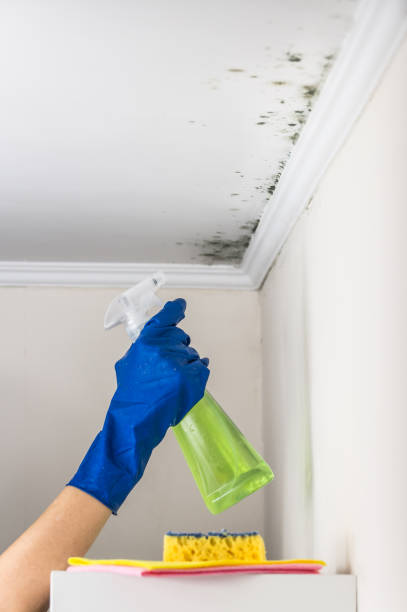 Best Water Damage Restoration  in Orange Cove, CA